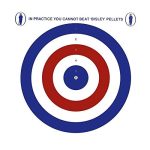 Bisley 100 Rood Wit & Blauw 17cm (6.75") Kaart Luchtbuks Doelen Luchtgeweer Pistool Jacht Praktijk Nul