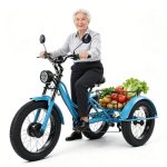 Elektrische fatbike-driewieler voor volwassenen, 3 wielen, 24 inch, 200 kg draagkracht, trapondersteuning, bagagemand, koplamp, stad, bergen, straat, comfortabel, cadeau voor ouders, blauw, zonder