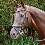 Rhinegold leer Pro-Anatomisch hoofdstel
