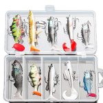 DONQL Set met zacht lokaas voor vissen, set met aas voor vissen in zoet water op forel, baars, zalm, inclusief draaiend aas, aas van silicone met doos (10 stuks)