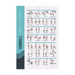 FitMate Dumbbell Oefenposter - 28 Unieke Halter Workouts met Illustraties, Gelamineerd en Duurzaam Fitness Schema voor Thuis, Home Gym Decor en Krachttraining (42 x 63 cm)