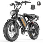 Snokco BK20 Elektrische fiets voor volwassenen, afneembare accu met 48 V en 20 Ah, 20 x 4,0 inch brede banden, 50-100 km actieradius, dubbele schijfrem, volledige vering, 7 versnellingen