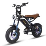 Bodywel M16 E-bike voor dames en heren, 16 x 4,0 inch All Terrain E Fatbike City & Mountain, 48 V 13 Ah acu, 250 W motor, bereik 80 km (PAS), LCD-display, dubbele verlichting, volledige vering