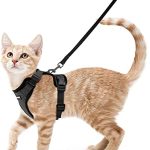 rabbitgoo Kattenharnas en Riem 150cm, Harnas Kat anti-ontsnapping, Kattenharnas Verstelbare, Kattentuigje Reflecterende van Zachte en Ademend, Kattentuigje voor Kitten Kleine Honden, XS, Zwart